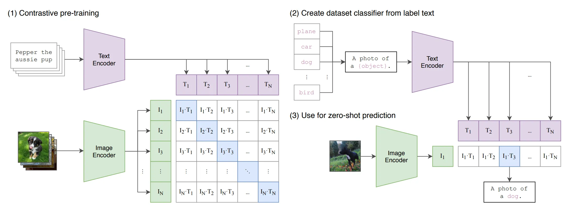 Image depiction of contrastive learning